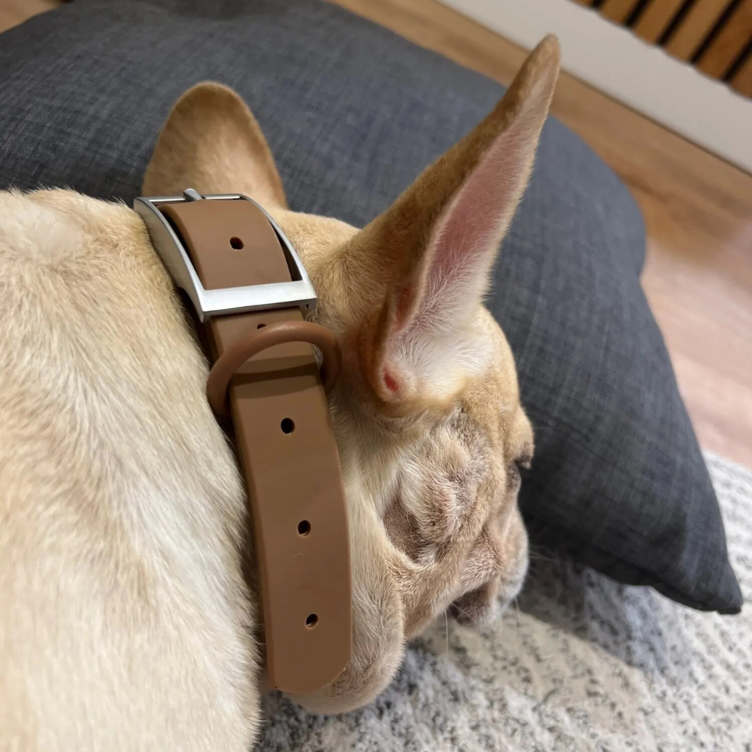 Customized Collar