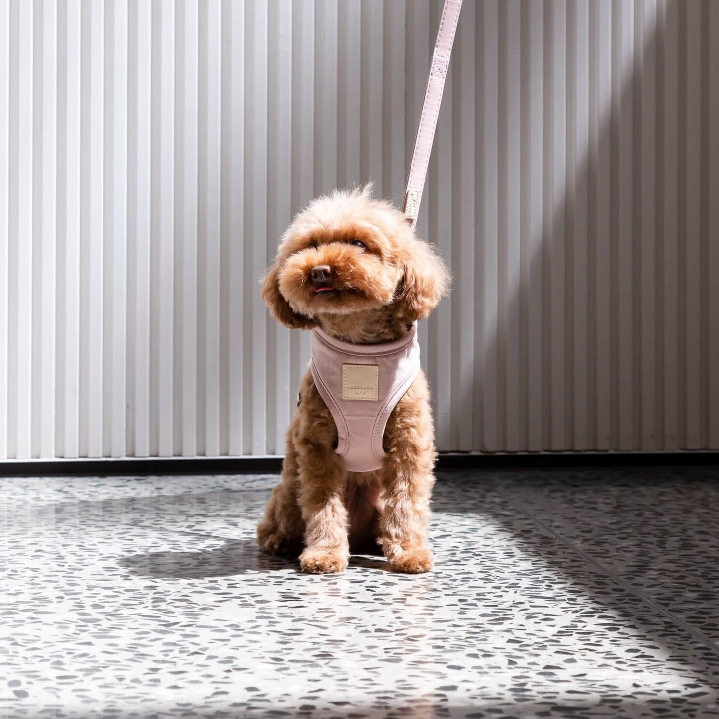 Fuzzyard Harness