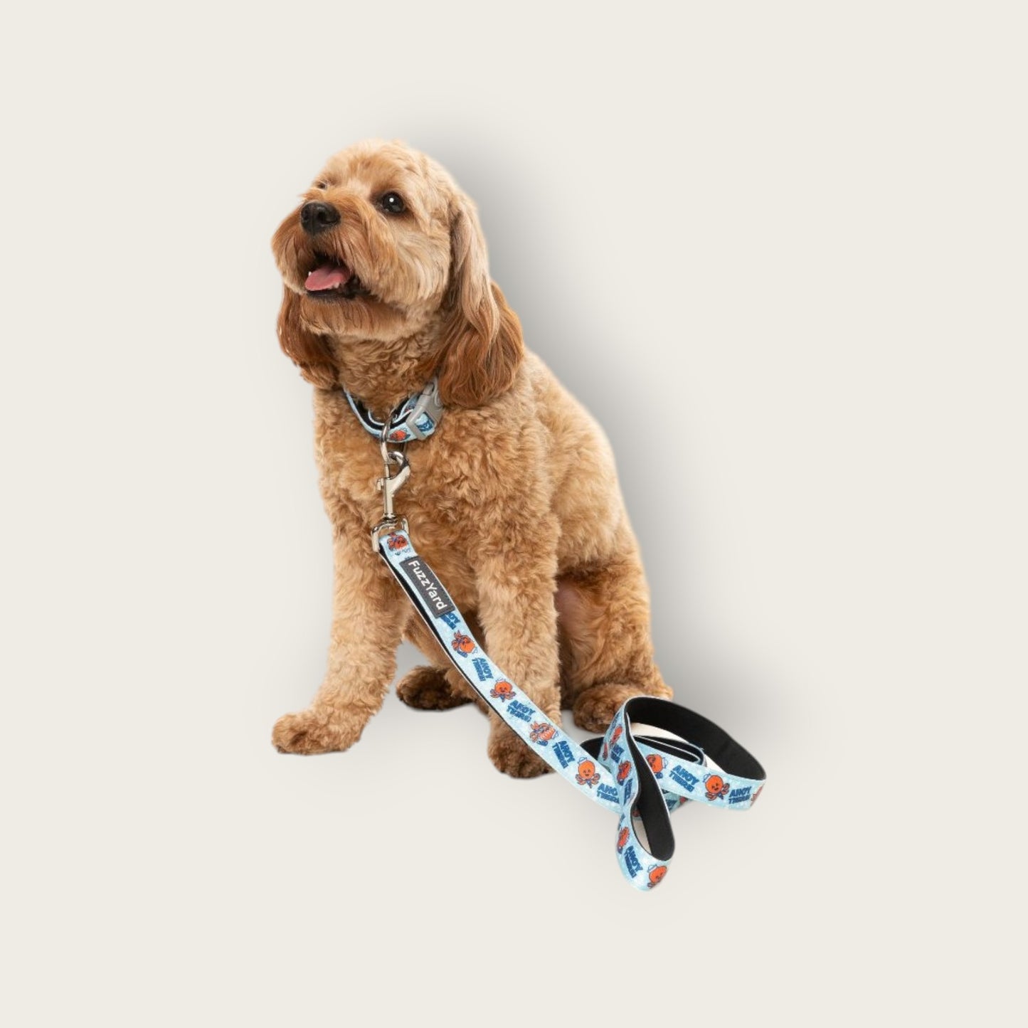 Summer Collar