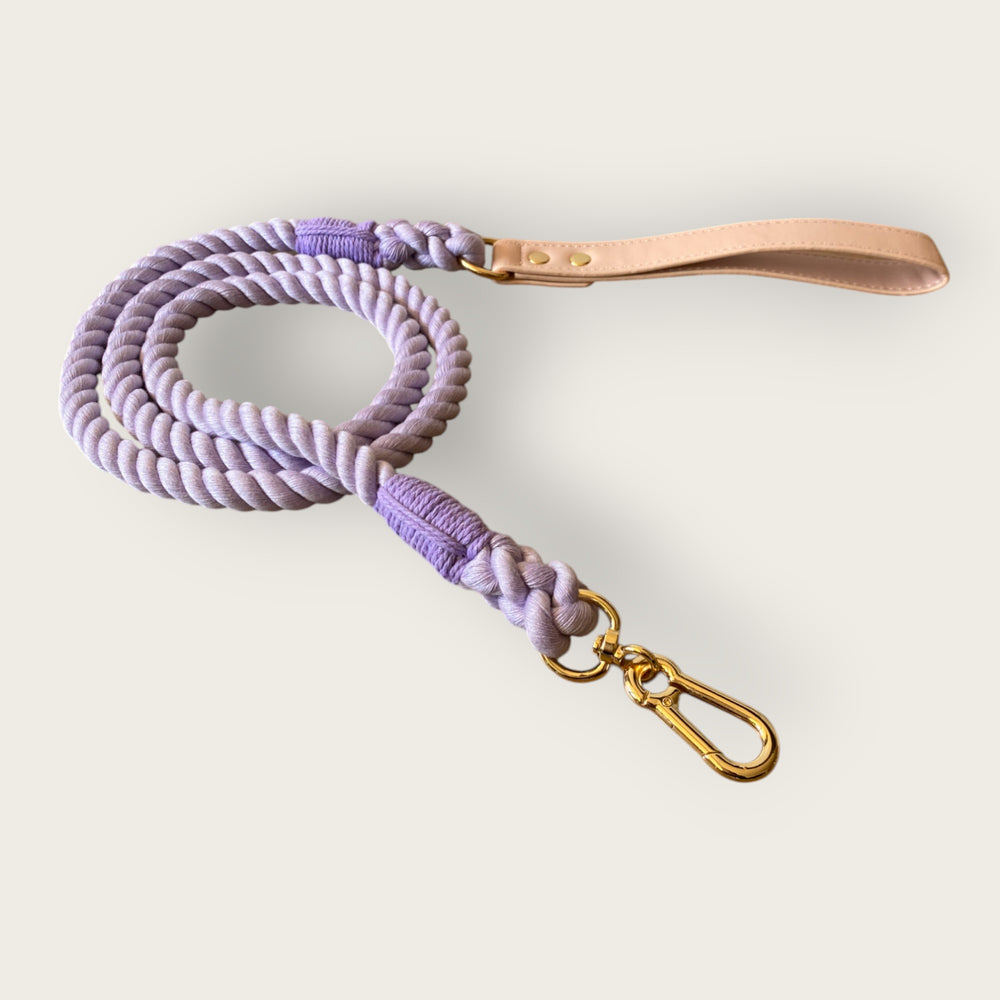 Leash Violet