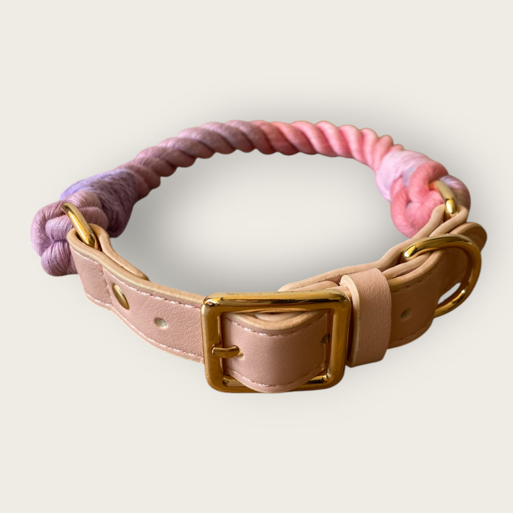 Collar Rainbow