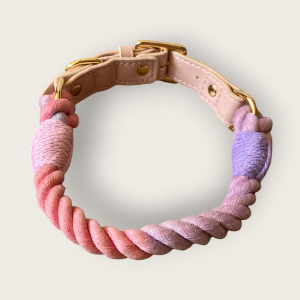 
                  
                    Collar Rainbow
                  
                