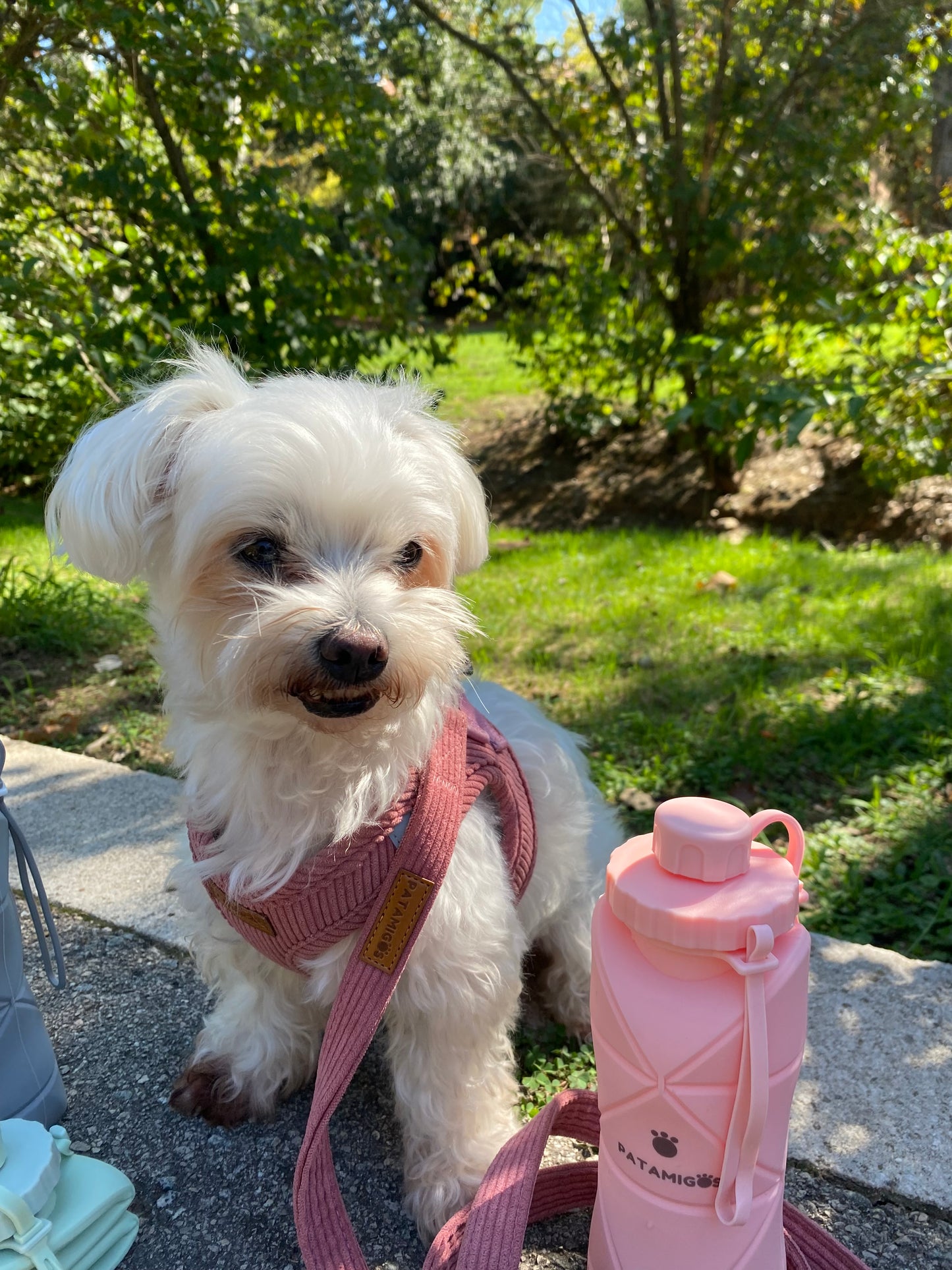 
                  
                    Pipi Clean Rosa
                  
                