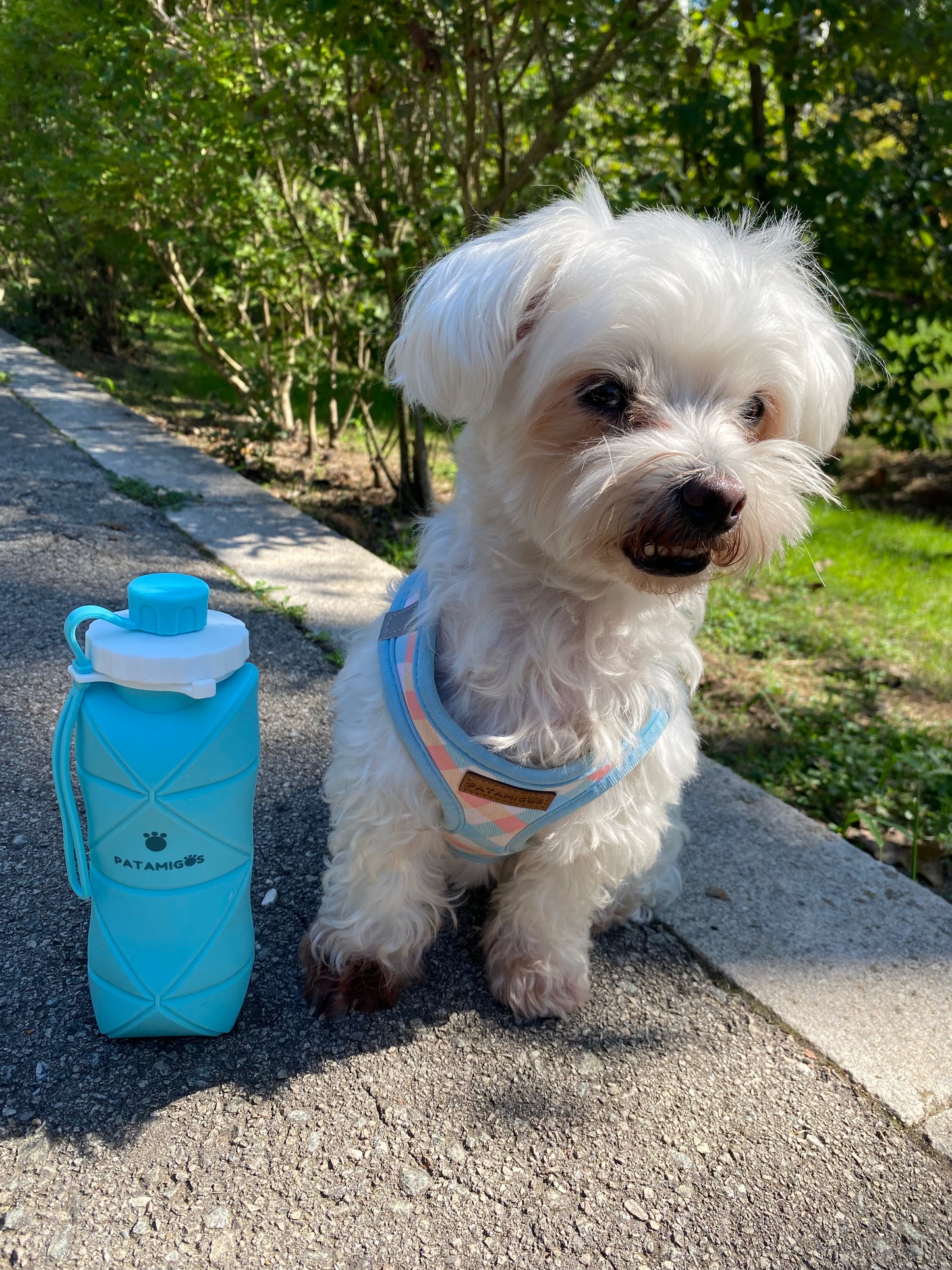 
                  
                    Pipi Clean Azul
                  
                