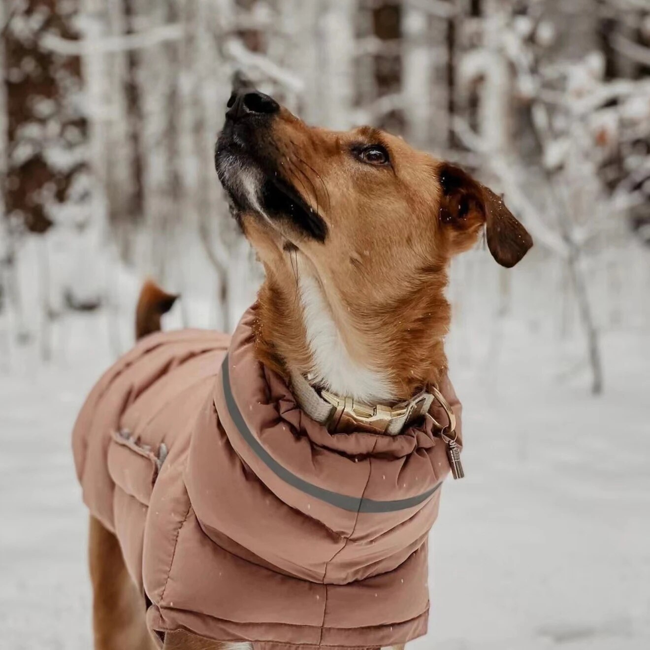 
                  
                    Puffer Coat Style
                  
                