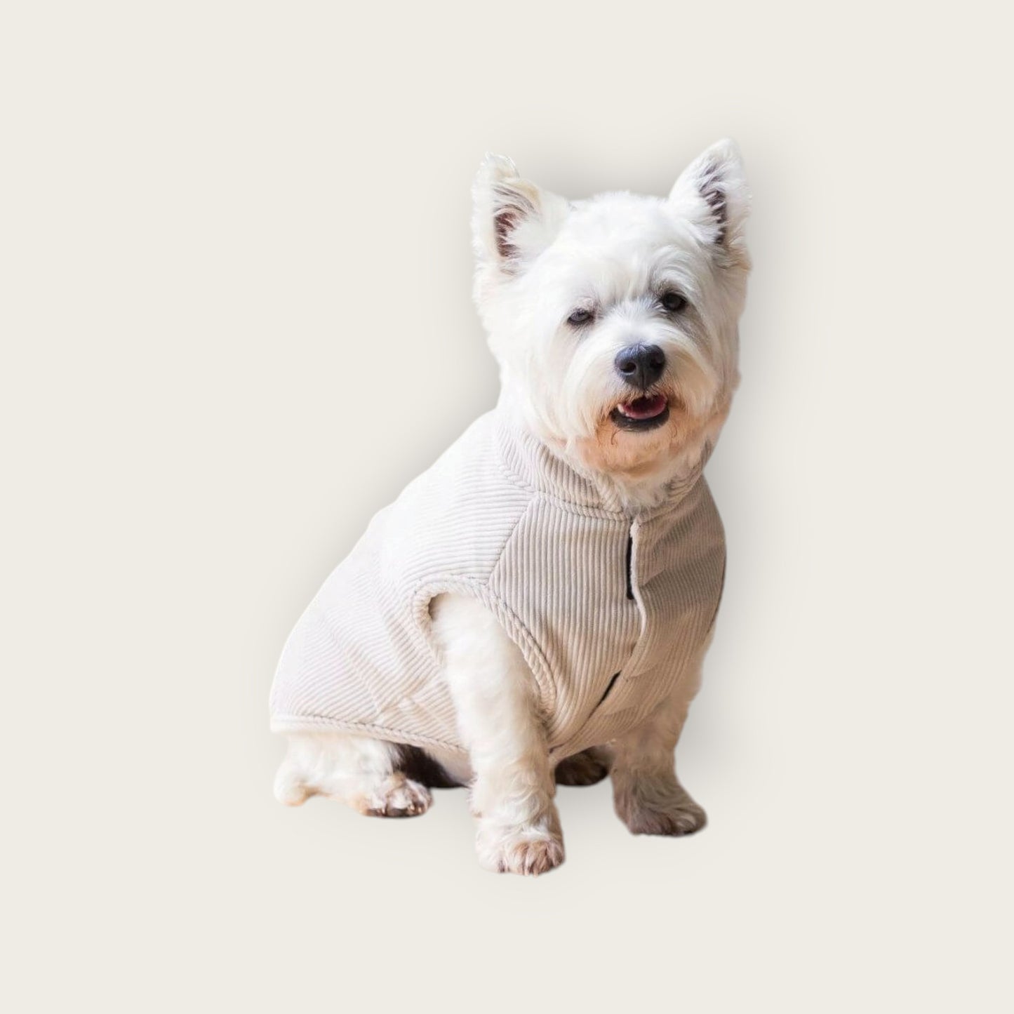 
                  
                    Corduroy Sweater
                  
                