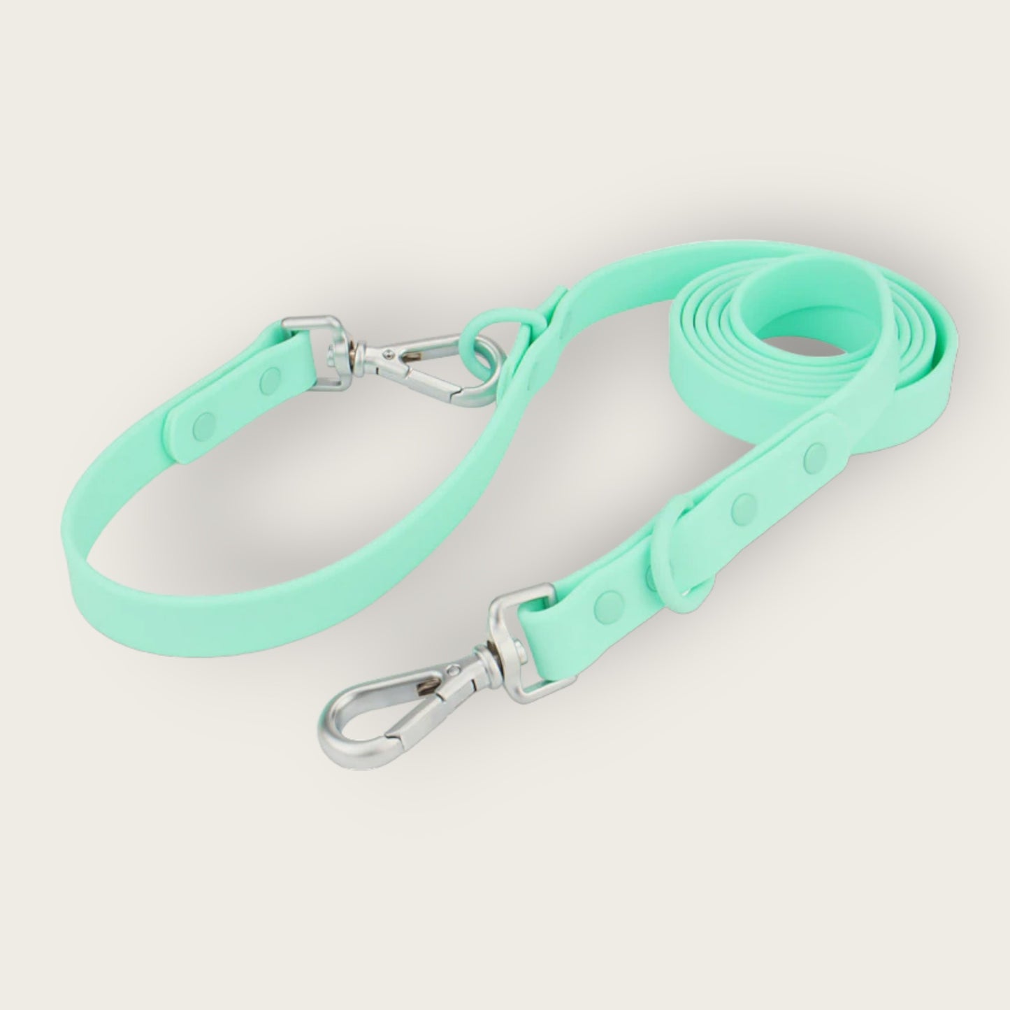 
                  
                    Hazel Leash
                  
                