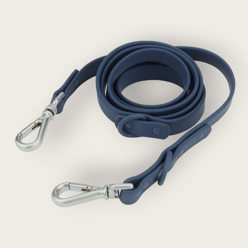 
                  
                    Hazel Leash
                  
                