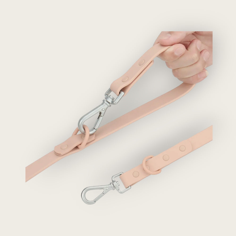 
                  
                    Hazel Leash
                  
                