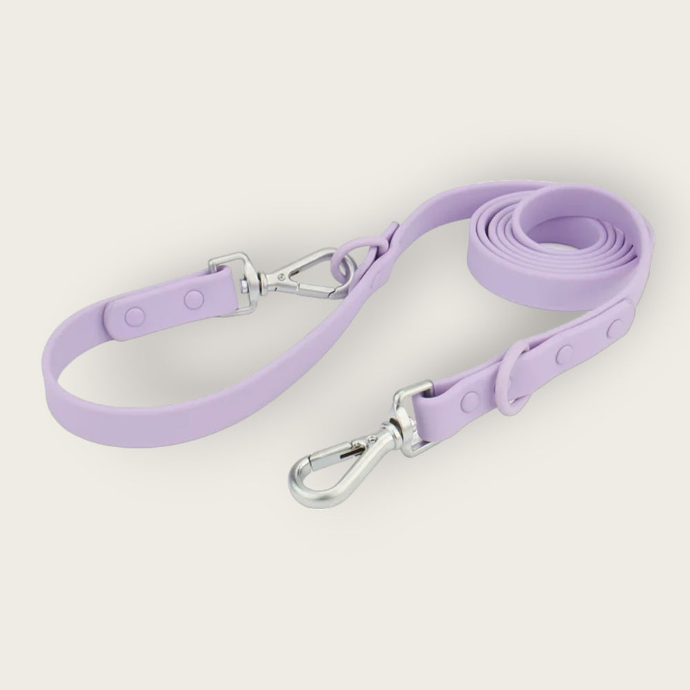 
                  
                    Hazel Leash
                  
                