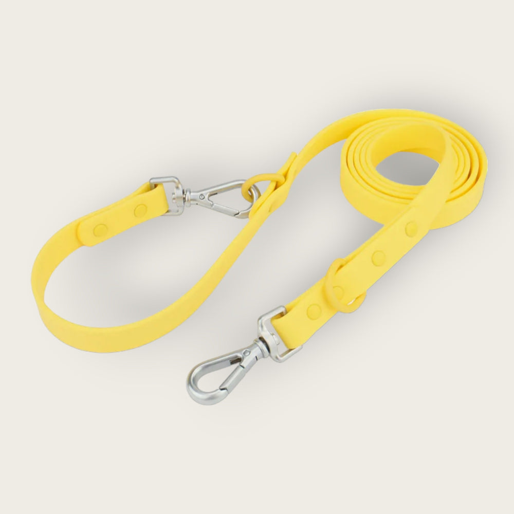 
                  
                    Hazel Leash
                  
                